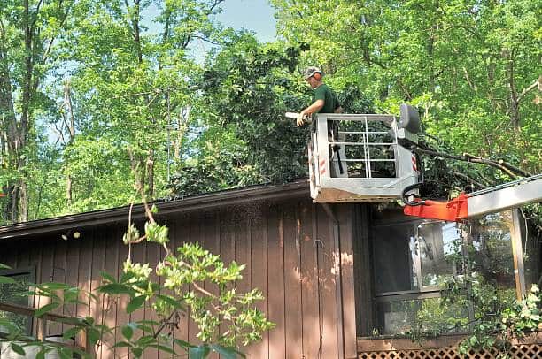 Debris Cleanup