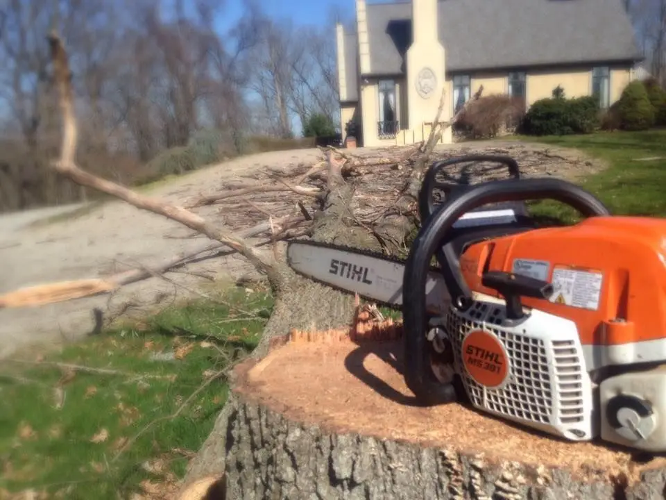 Quality First Tree Service crew